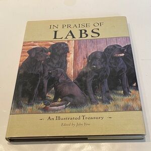“In Praise of Labs,”